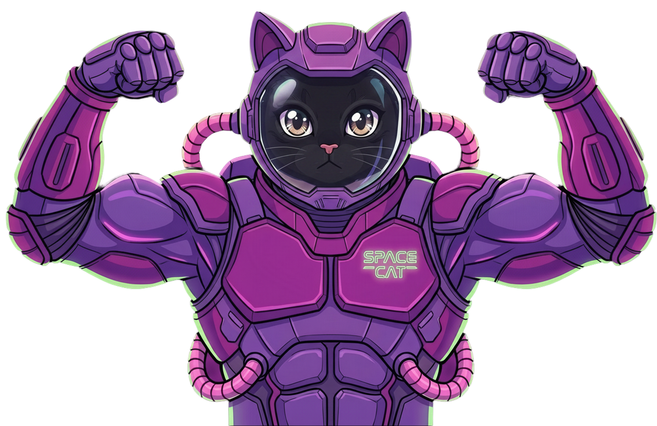 Space Cat — flexing the toolbox